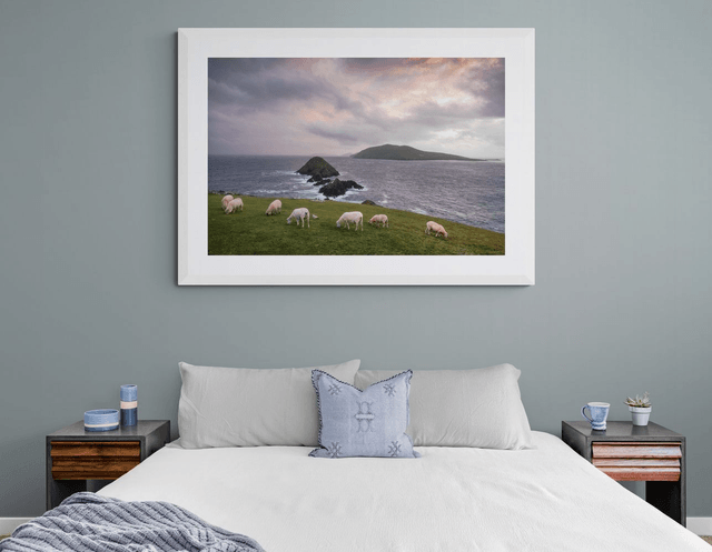 Sheep on Dunmore Head