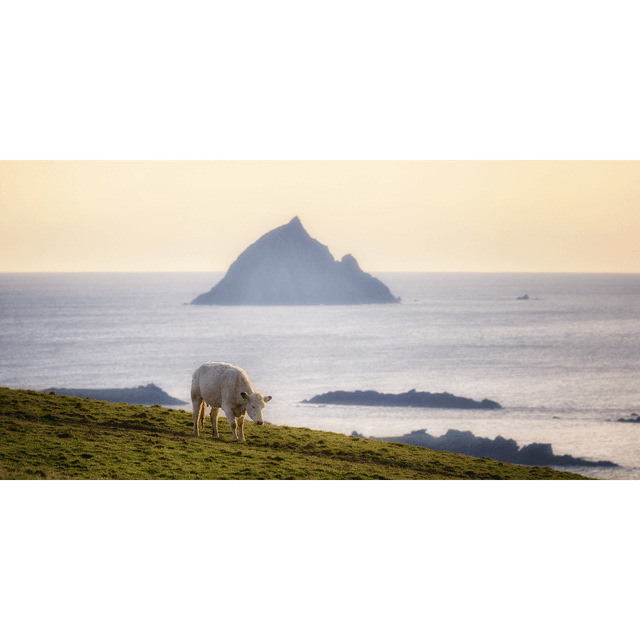 An Tiaracht - Tearaght Island