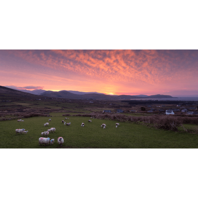 Ventry