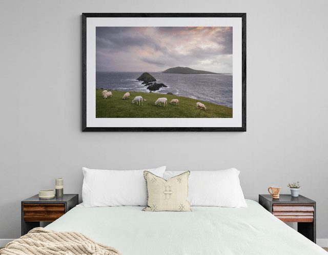 Sheep on Dunmore Head