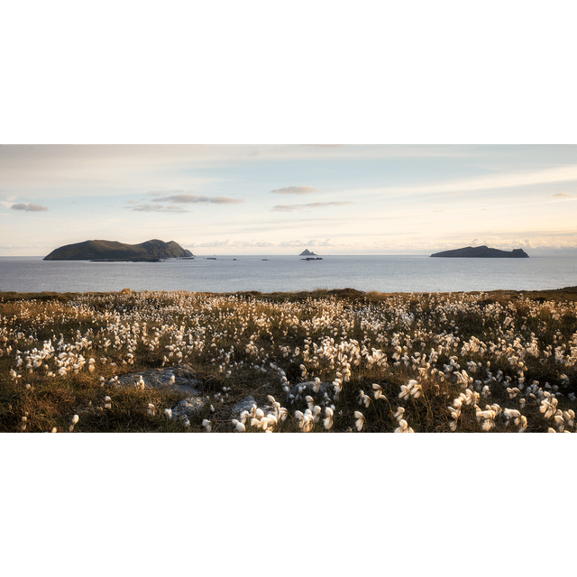 The Blaskets - Cloichear - Clogher