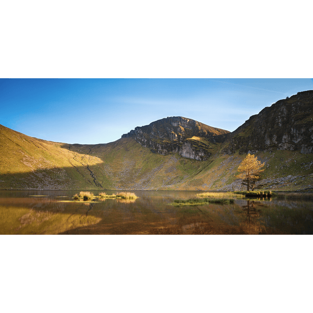 Glanteenassig Wood - Gleann Tí an Easaigh