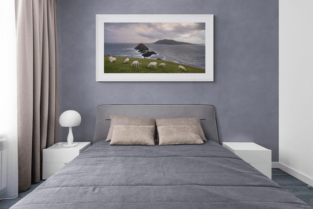Sheep on Dunmore Head