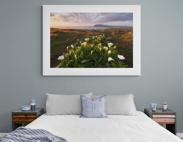 Clogher Head - Cloichear - Clogher