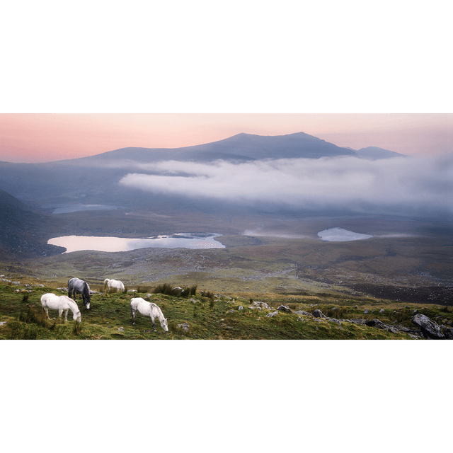 An Chonair - Conor Pass - Horses