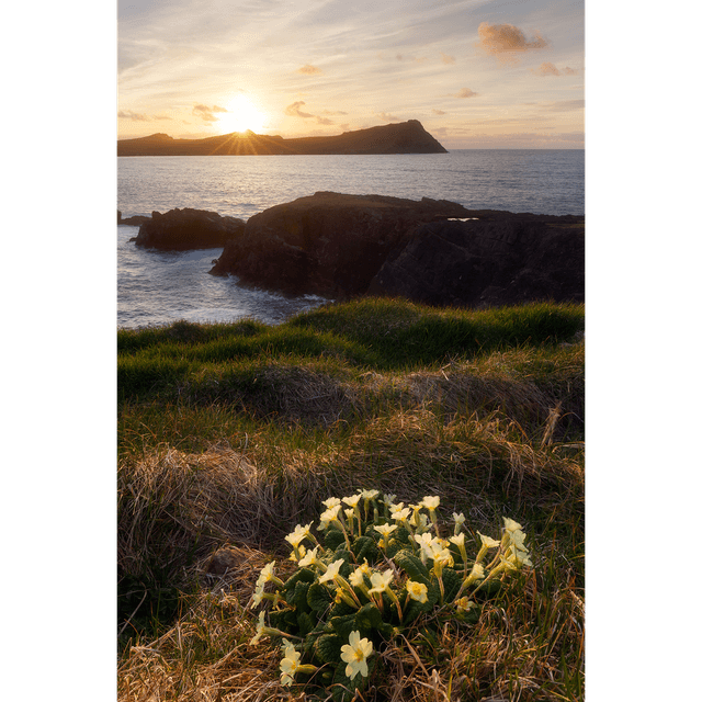 Three Sisters - An Triúr Deirféar