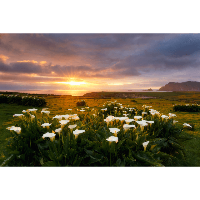 Clogher