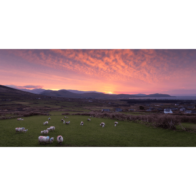 Ventry