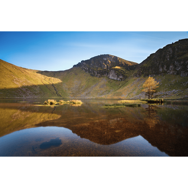 Glanteenassig Wood - Gleann Tí an Easaigh