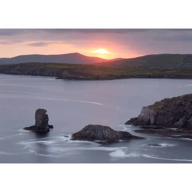 Bull&#039;s Head - An Searrach - Cinn Aird - Kinard